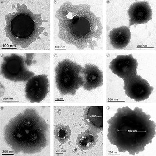 Nano Plastics with Protein Corona