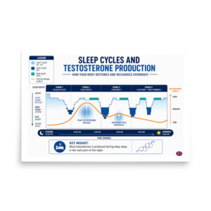 Testosterone Production and Sleep Cycles