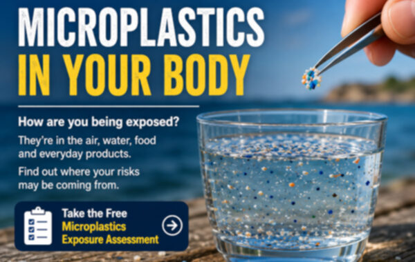 microplastics in your body